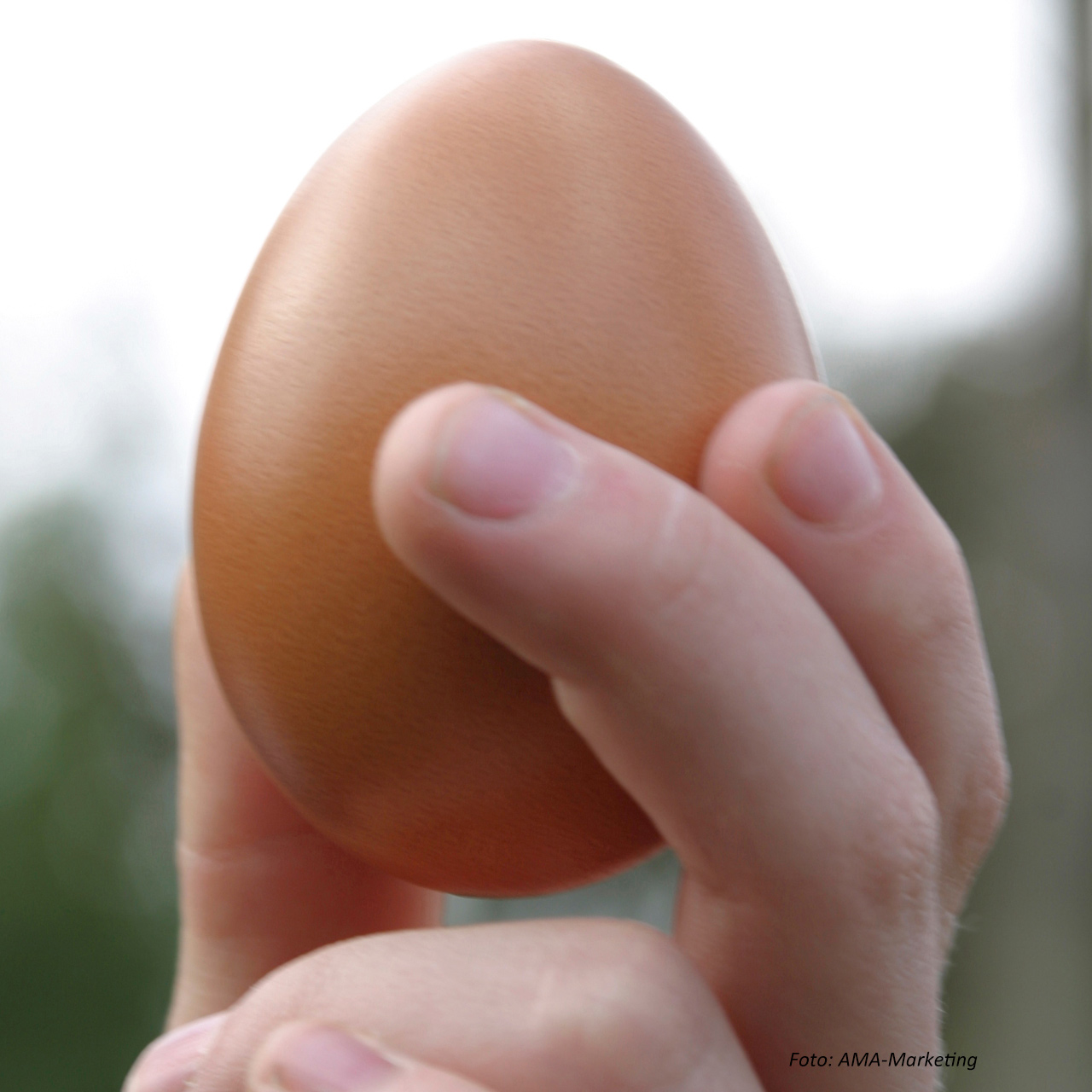 Wie viel wiegt ein Ei? » Kochrezepte von Kochen & Küche