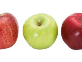 Apfel mit Maßband