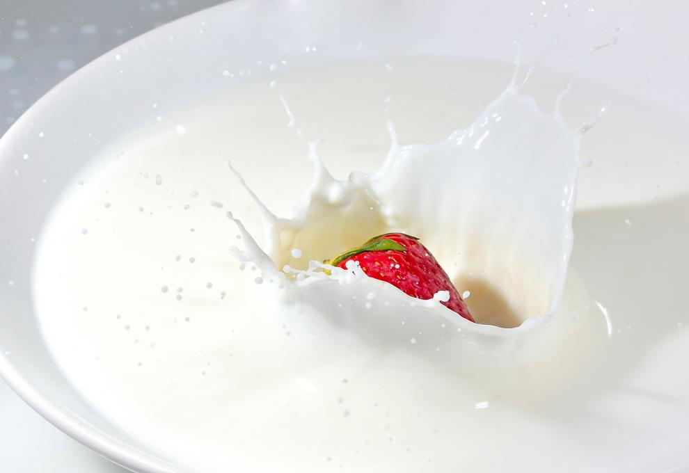 Bio-Trend geht weiter – Milchprodukte sind Sieger