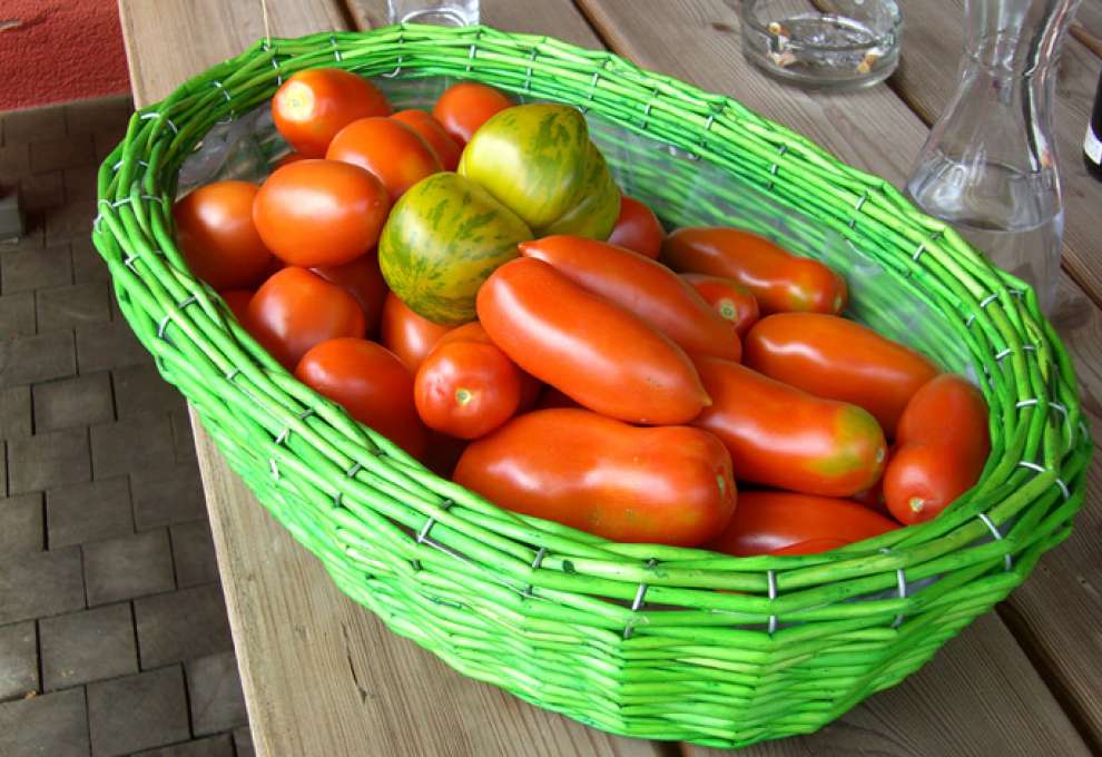 Leuchtendes Grün mitten in kräftigem Rot - Tomatensorten gibt es viele...
